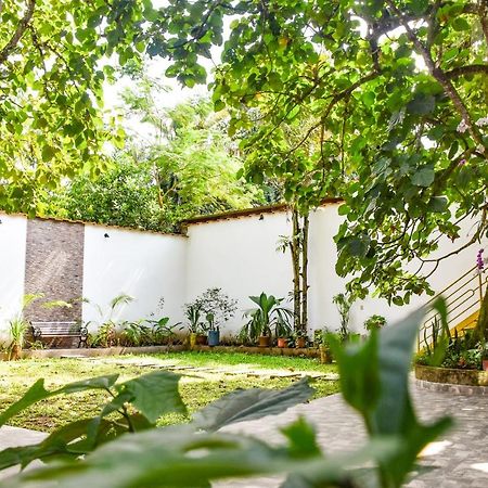 Green House Tarapoto Zewnętrze zdjęcie