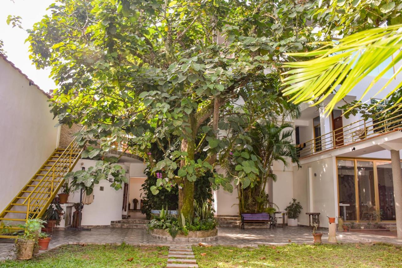 Green House Tarapoto Zewnętrze zdjęcie