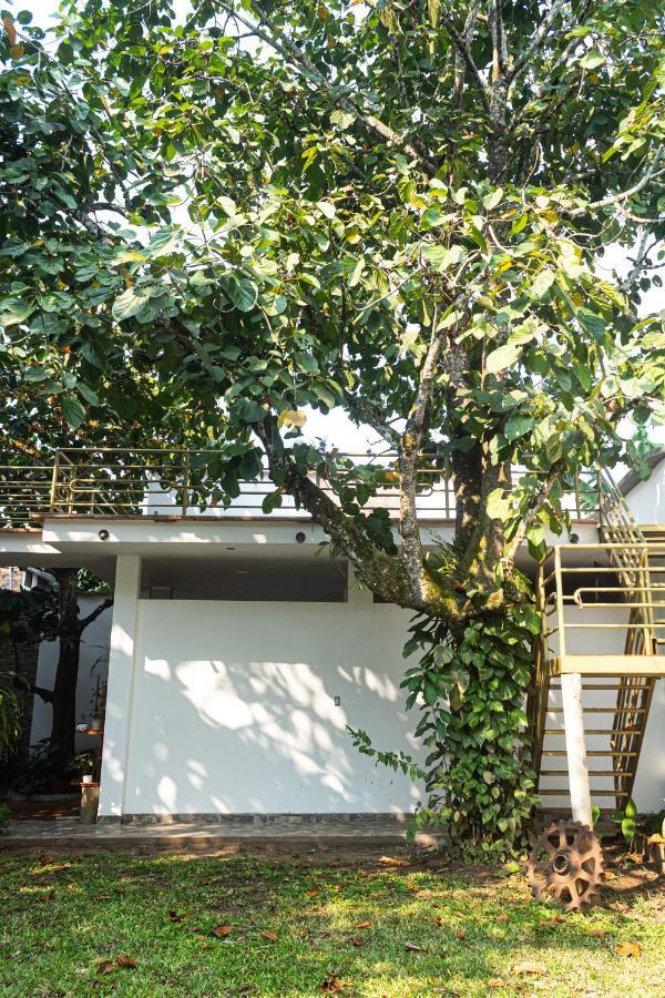 Green House Tarapoto Zewnętrze zdjęcie